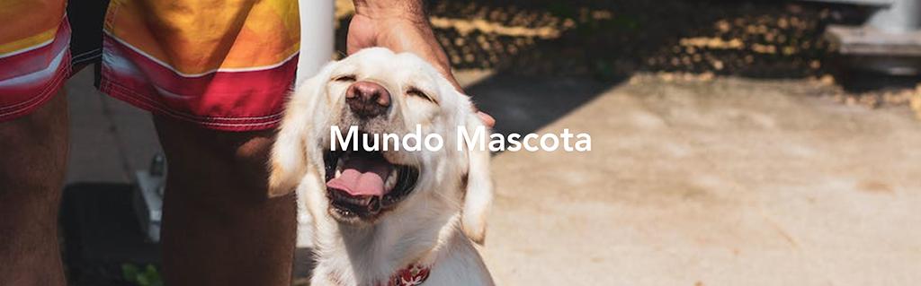 Mundo Mascotas
