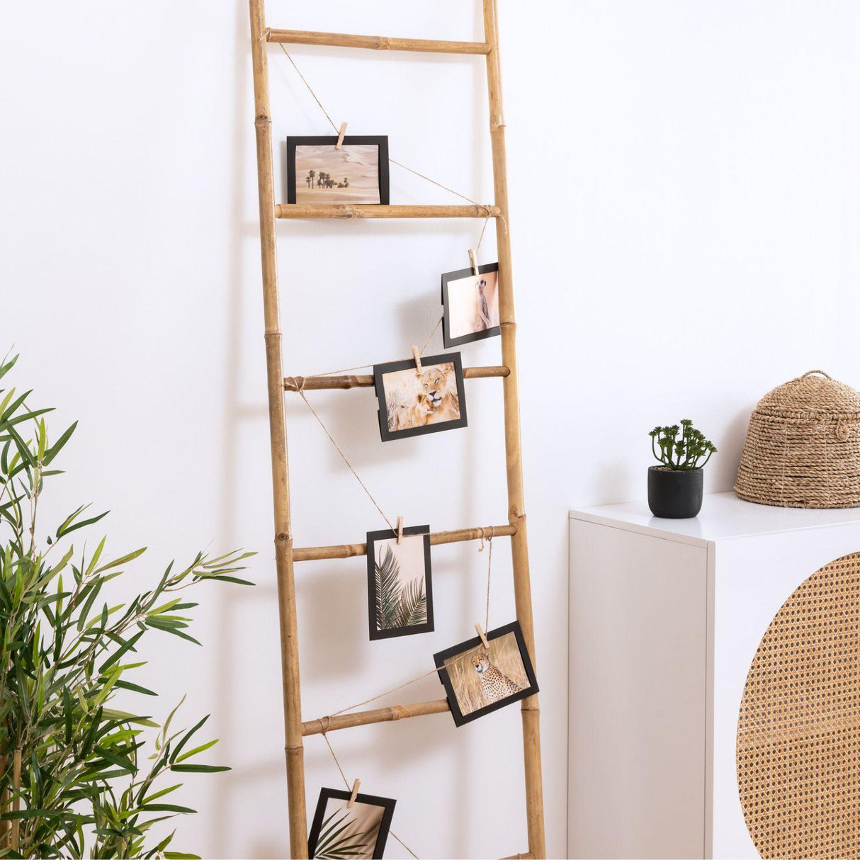 jpg_1500x1500_63139467