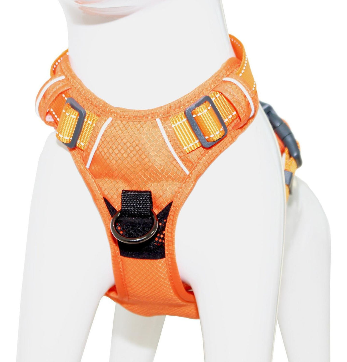 jpg_1500x1500_62003806