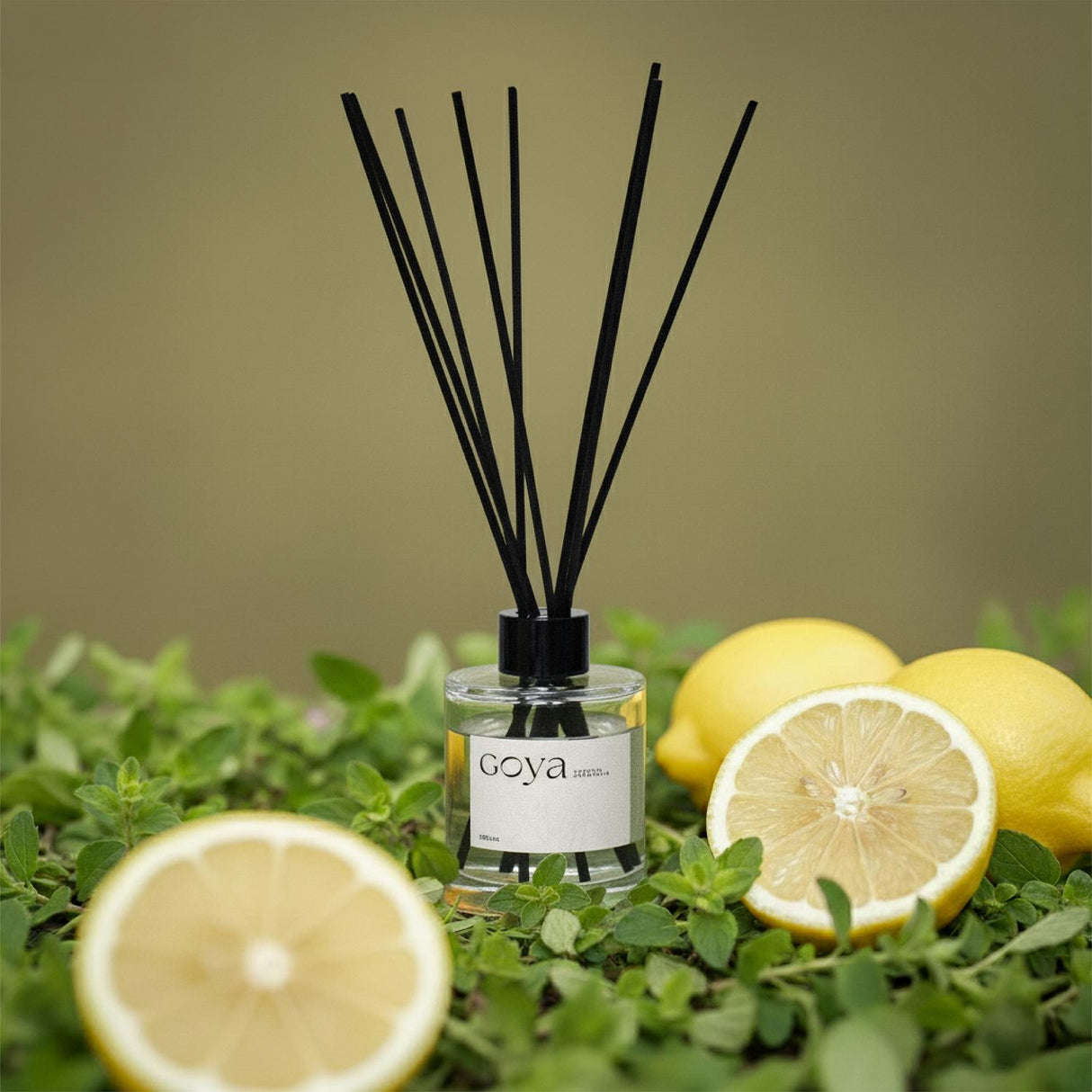 jpg_1500x1500_67683549