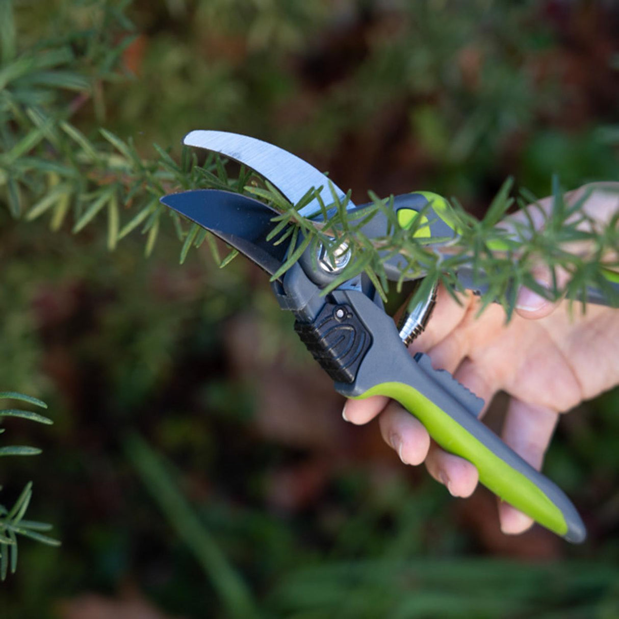 jpg_1500x1500_64397976