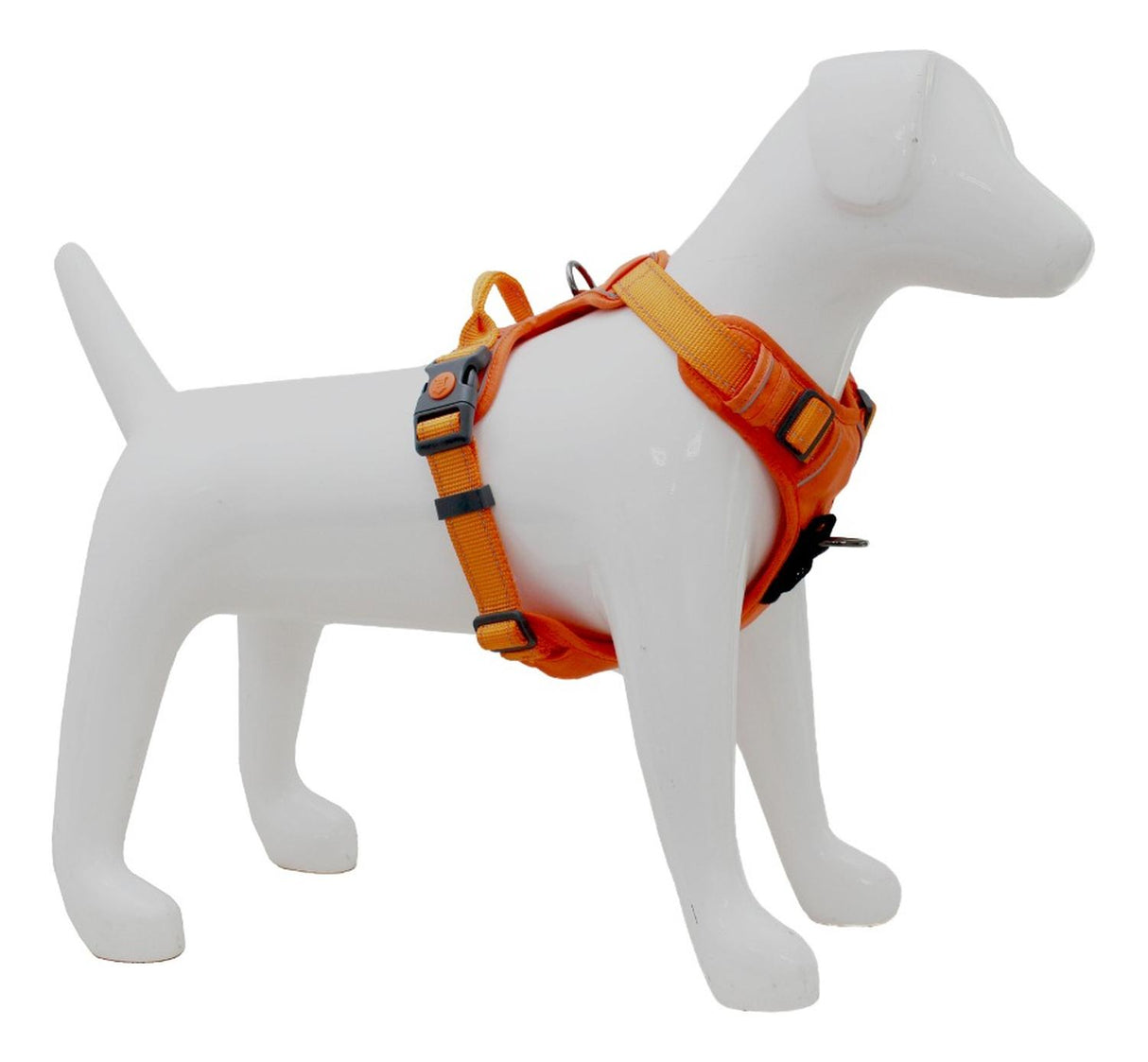 jpg_1500x1500_62001757