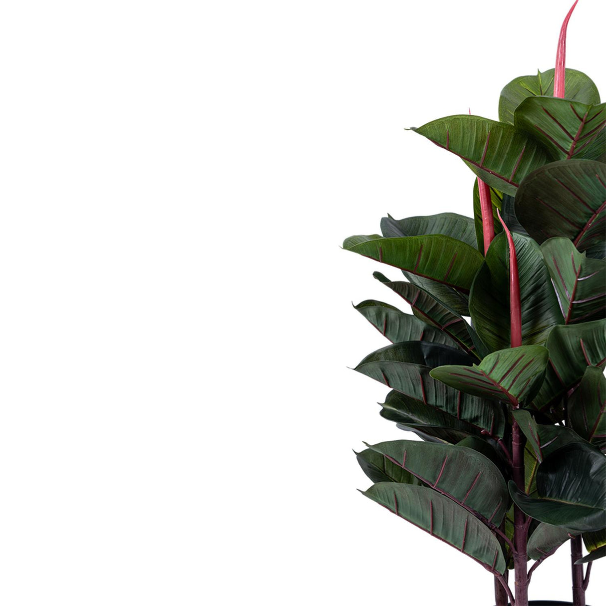 jpg_1500x1500_64397410