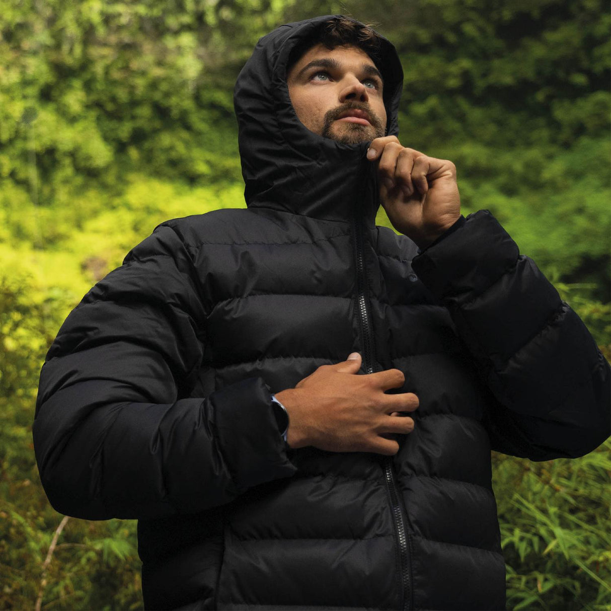 jpg_1500x1500_63287374