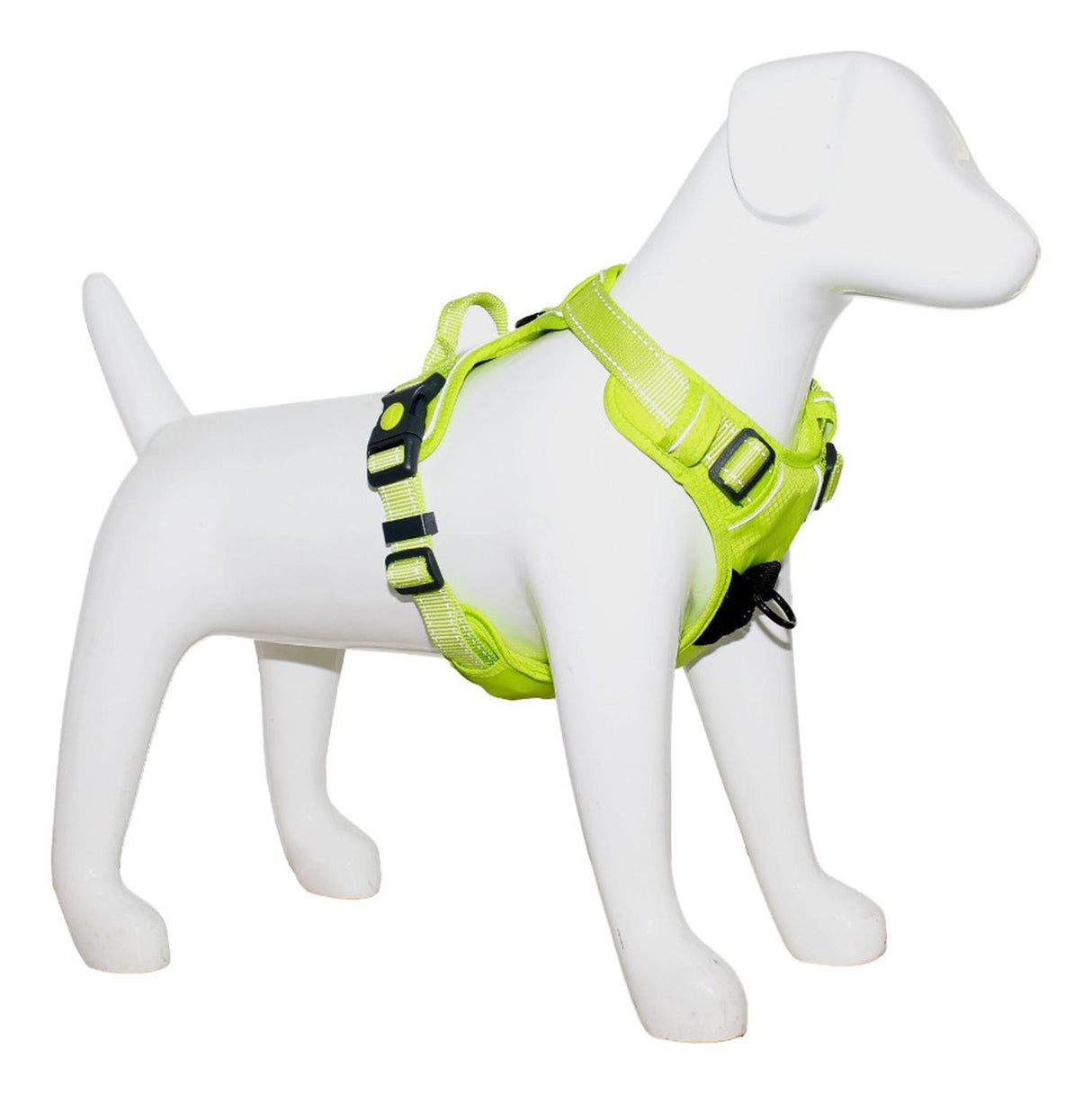 jpg_1500x1500_62003221