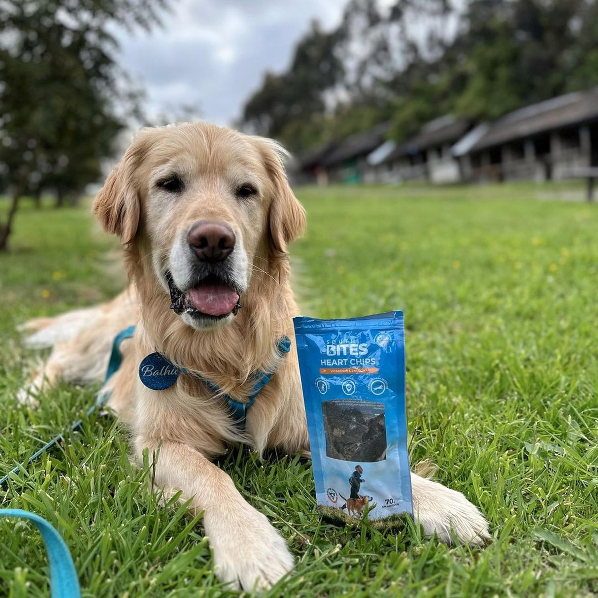 jpg_1500x1500_64158936