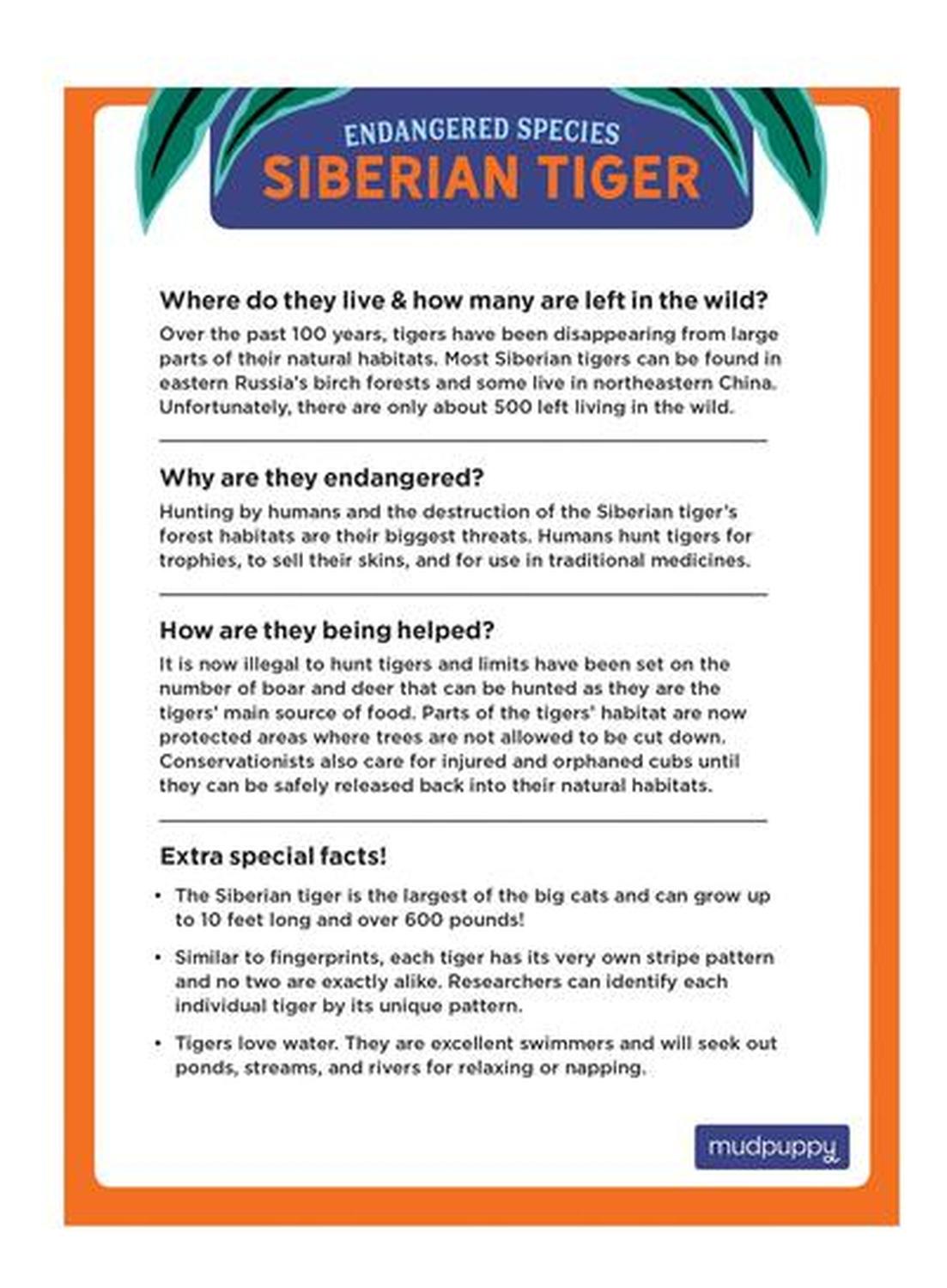 jpg_1500x1500_62008000