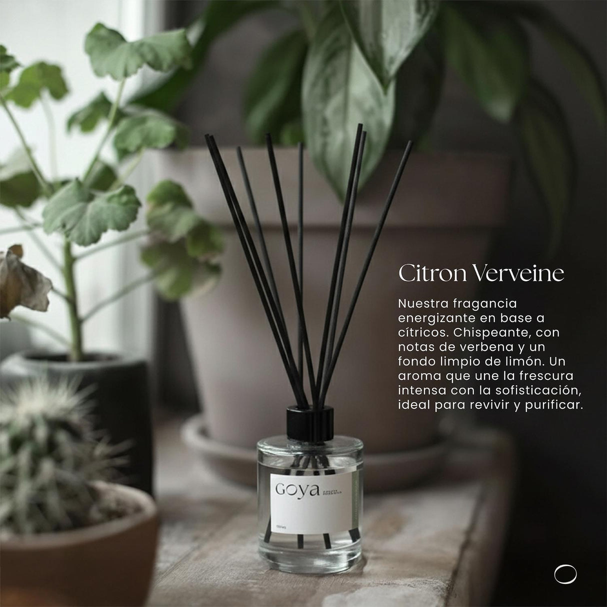 jpg_1500x1500_68309075