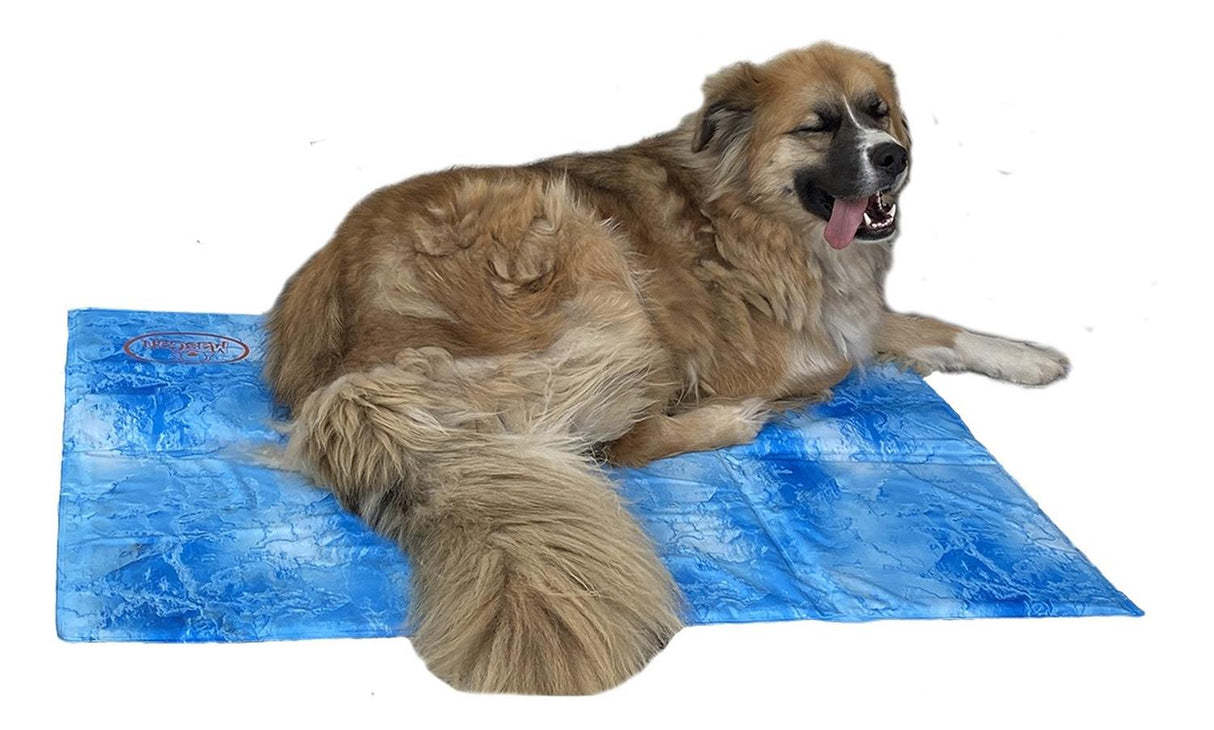 jpg_1500x1500_62008882