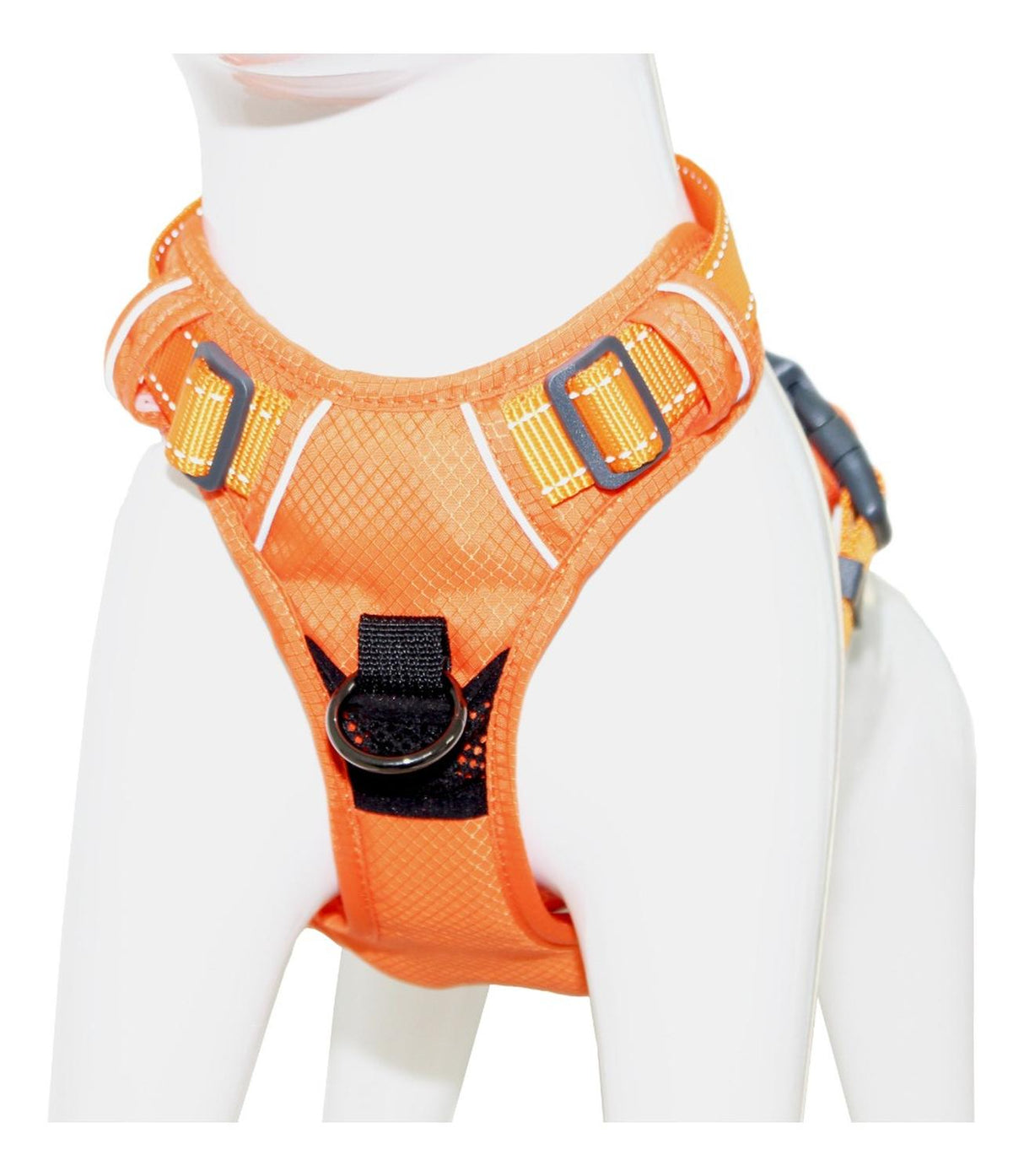 jpg_1500x1500_62000825