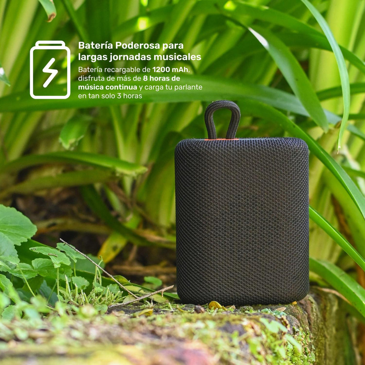 jpg_1500x1500_62009834