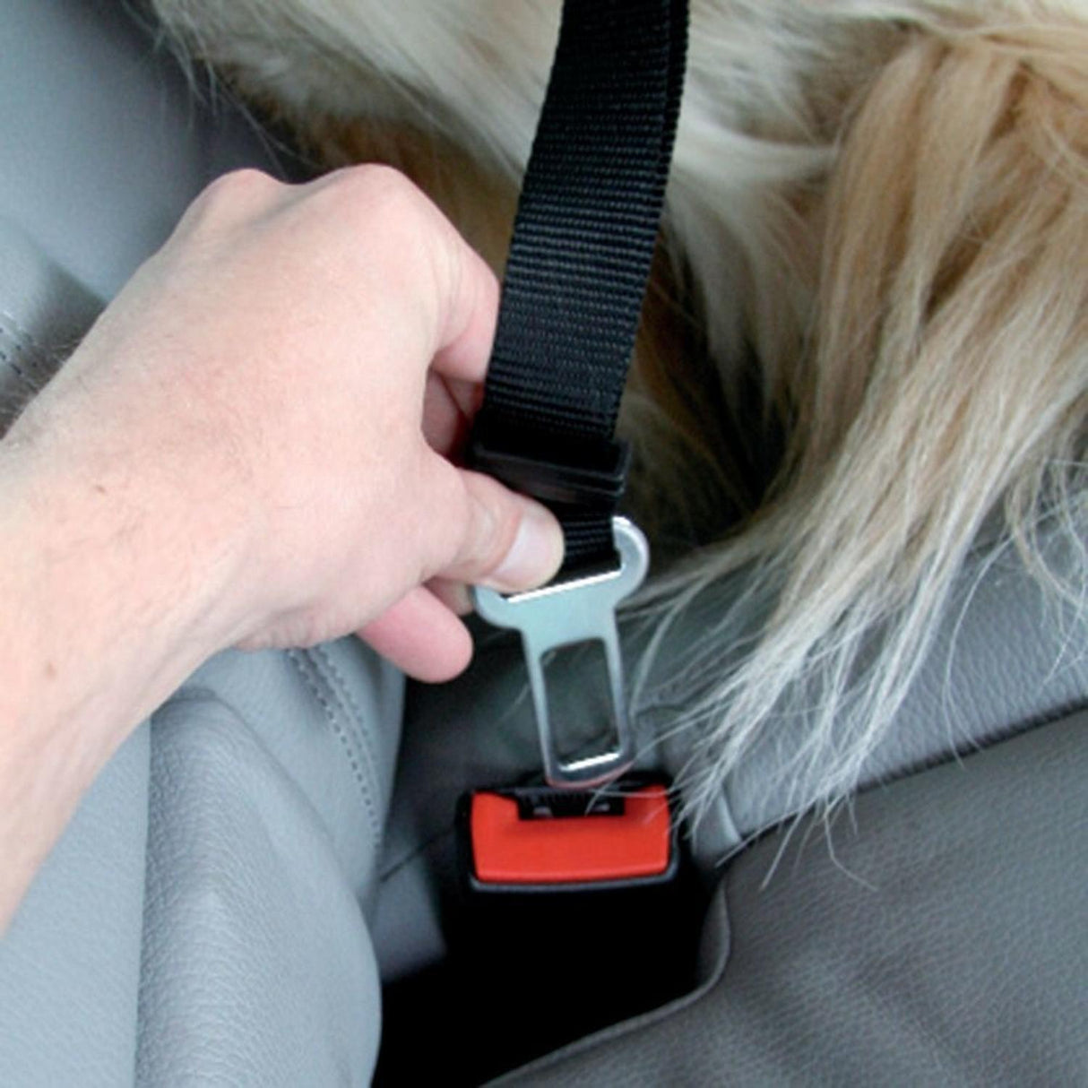 jpg_1500x1500_62003336