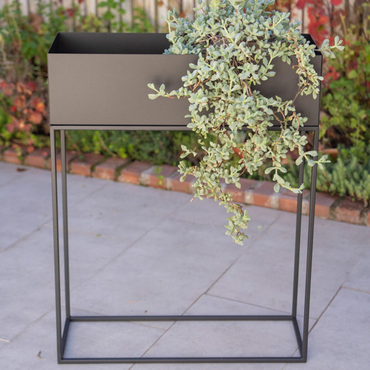 jpg_1500x1500_66315645