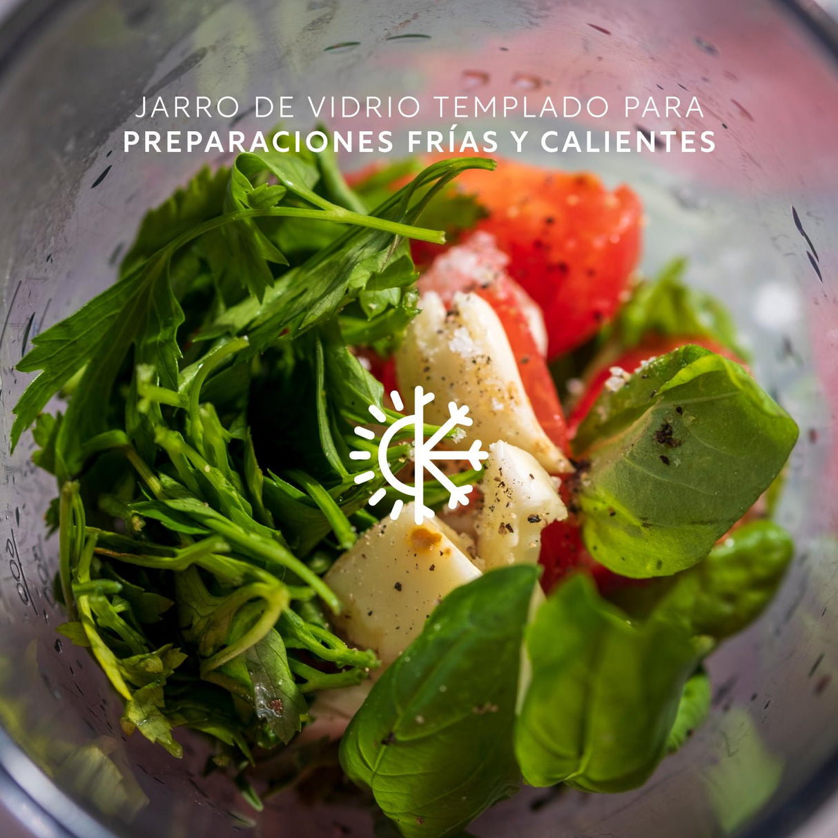 jpg_1500x1500_63548003