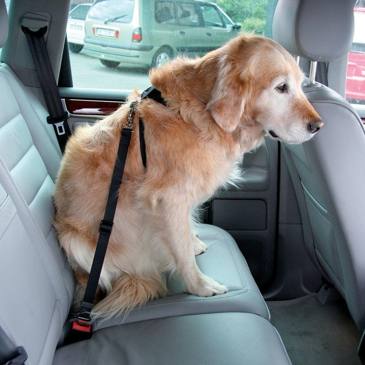 jpg_1500x1500_62000997