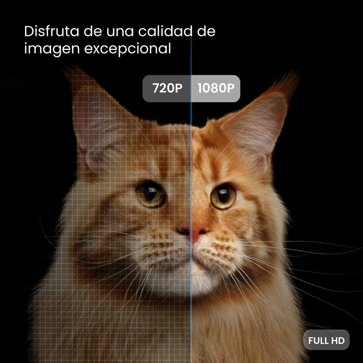 jpg_1500x1500_62002282