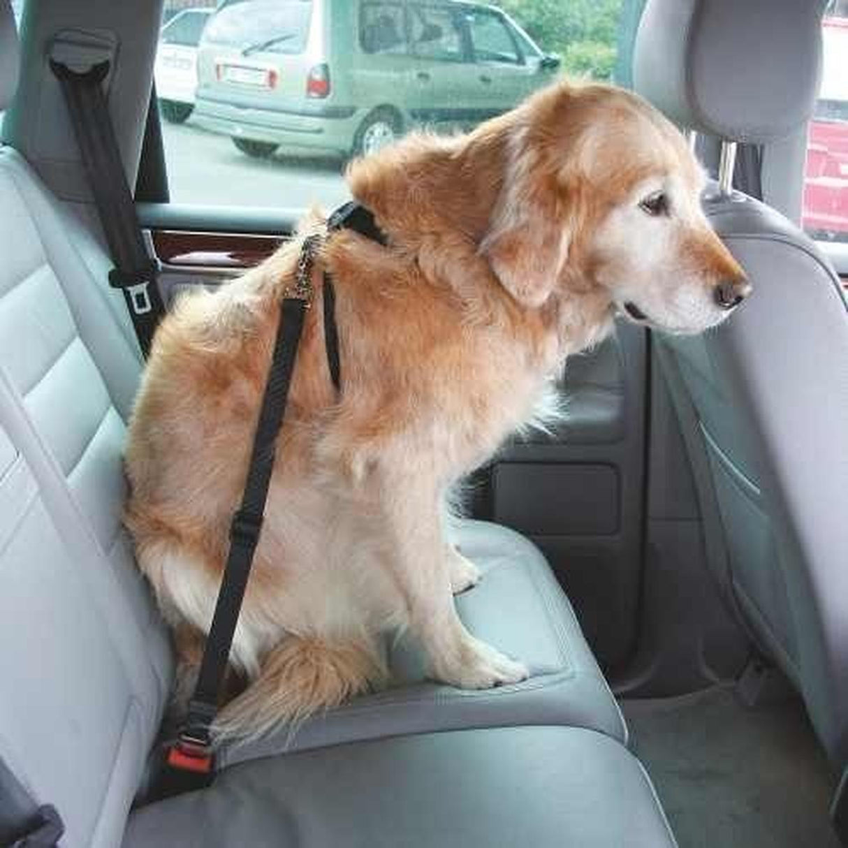 jpg_1500x1500_62001174