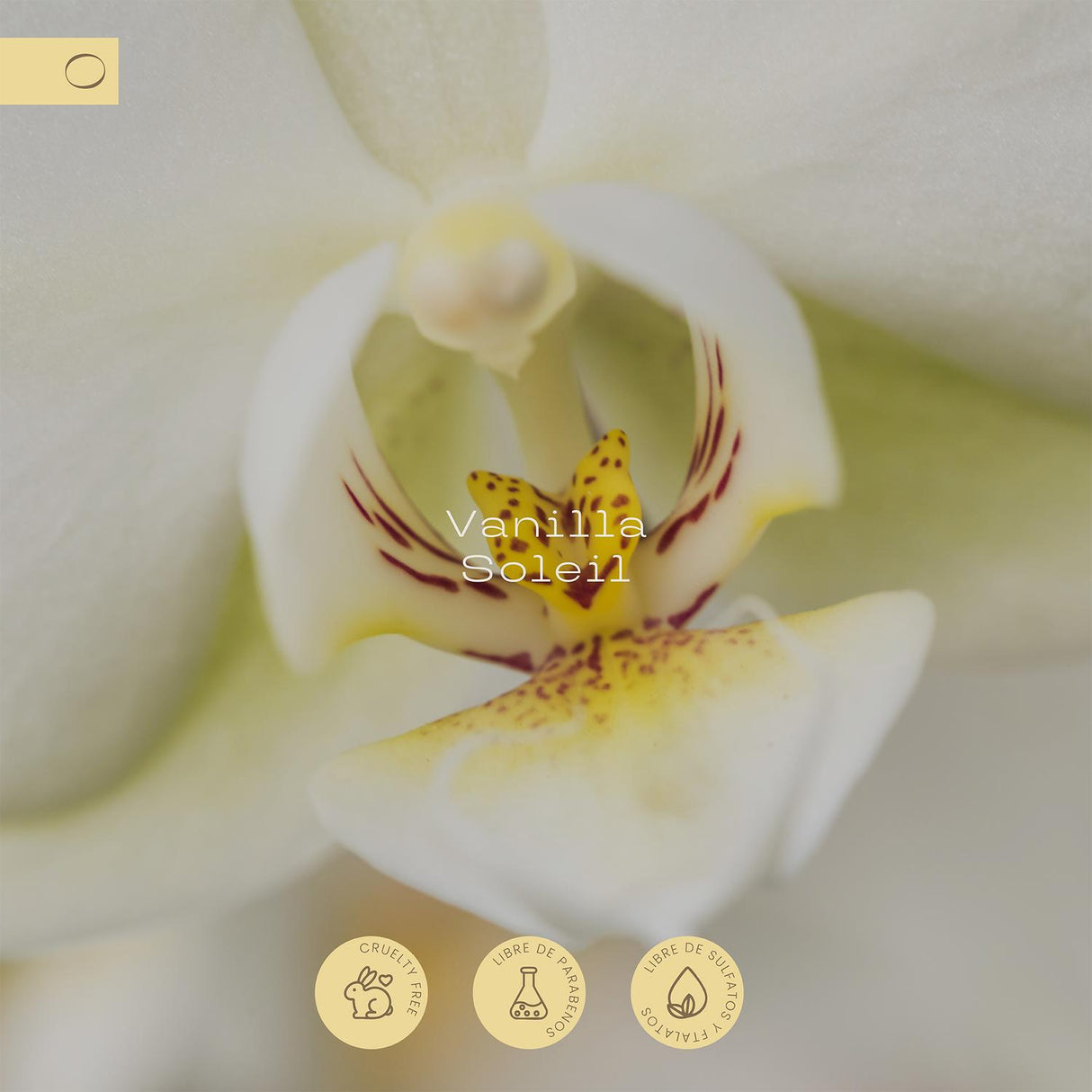 jpg_1500x1500_67683538