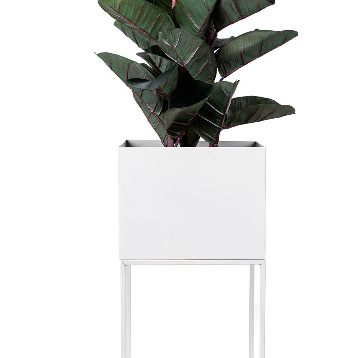 jpg_1500x1500_66315178