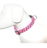 Collar Triángulo Fucsia Talla Xs Perro Mascan