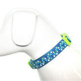 Collar Triángulo Azul Talla S Perro Mascan