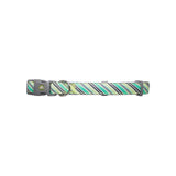 Collar Perro Diagonal S Verde Mascan