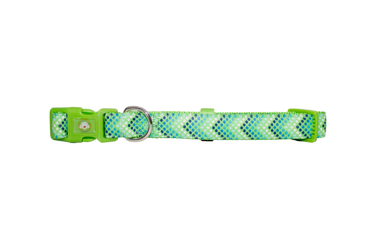 Collar Perro Puntitos S Verde Mascan