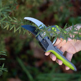 jpg_1500x1500_64397976