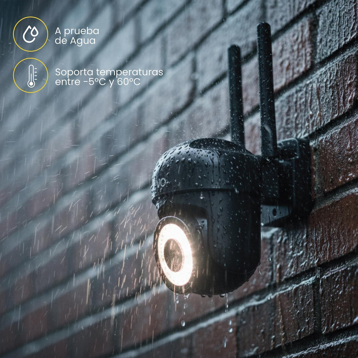 jpg_1500x1500_67404684