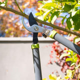 jpg_1500x1500_64357016