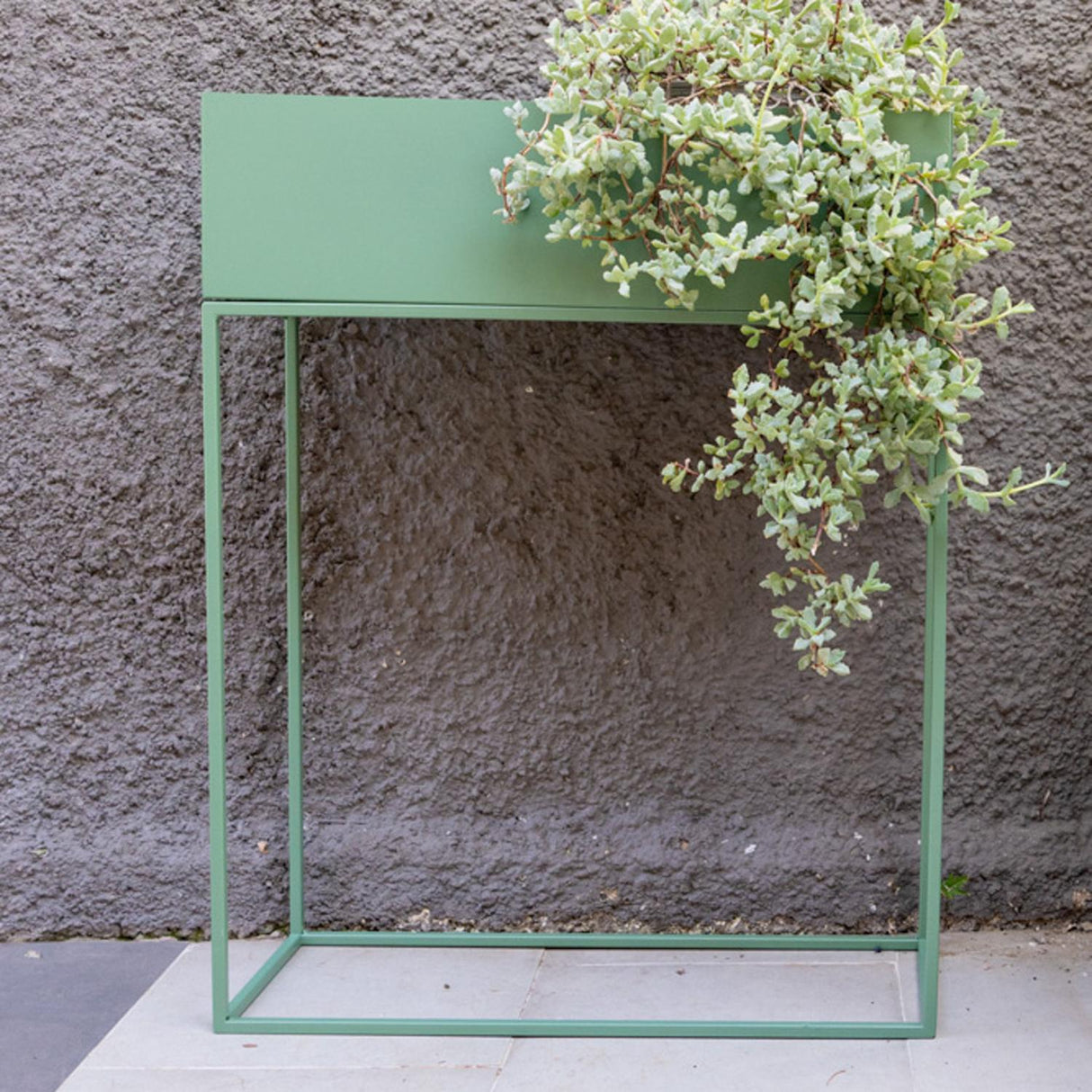 jpg_1500x1500_66315666