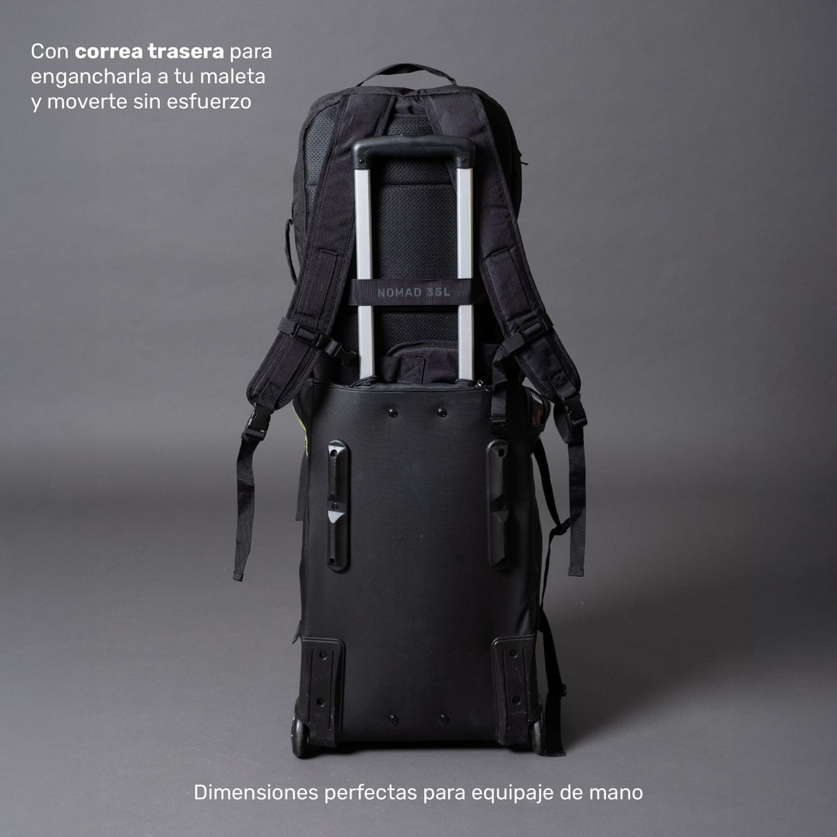 jpg_1500x1500_66829794