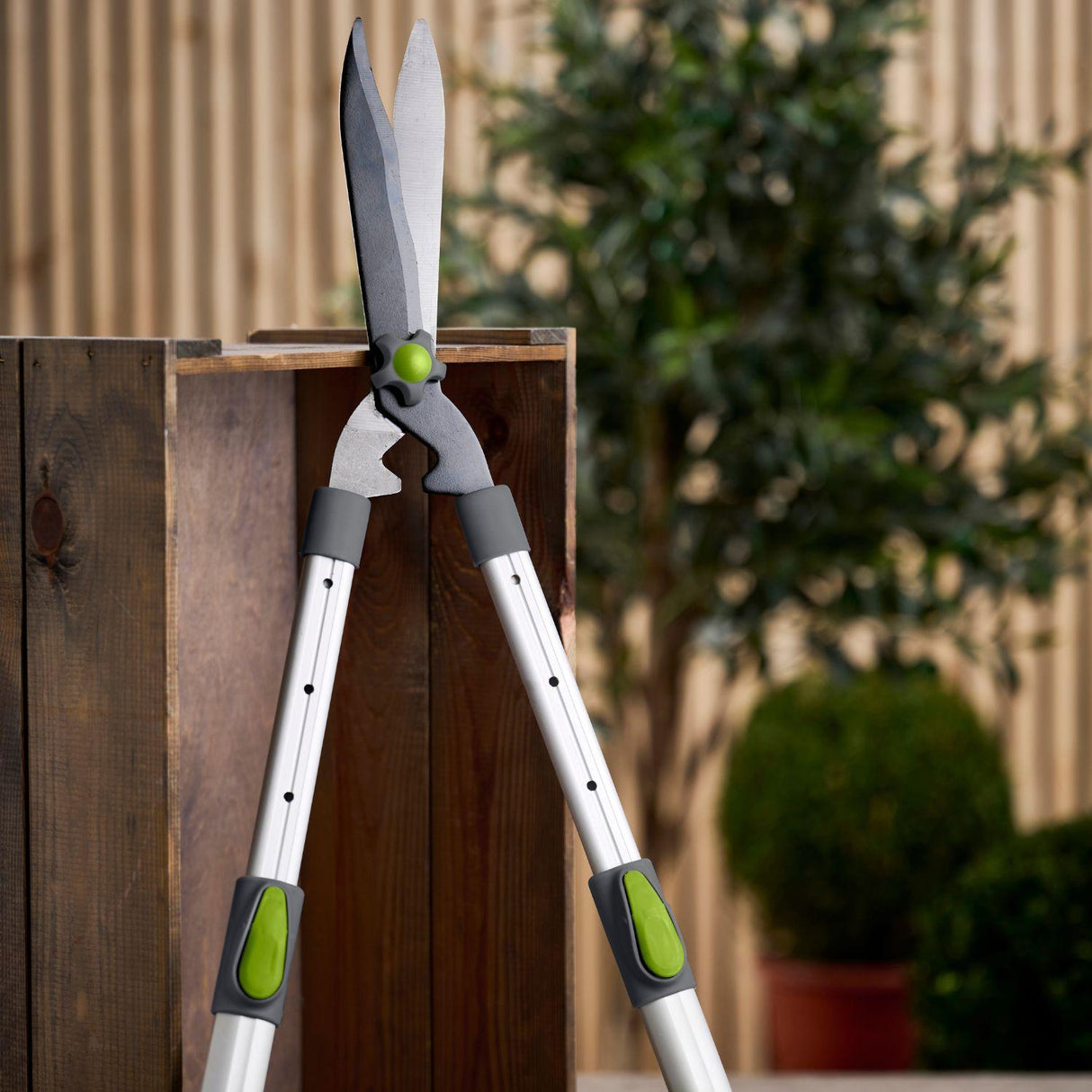 jpg_1500x1500_64357080