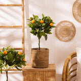 jpg_1500x1500_65561839