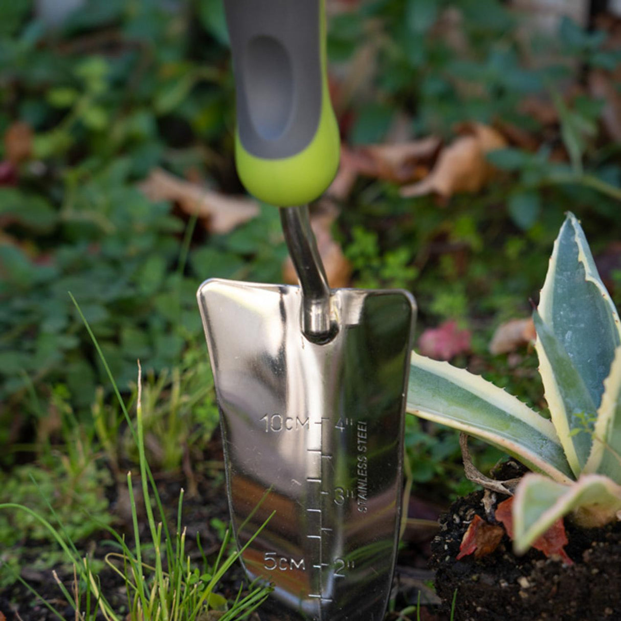 jpg_1500x1500_65972411