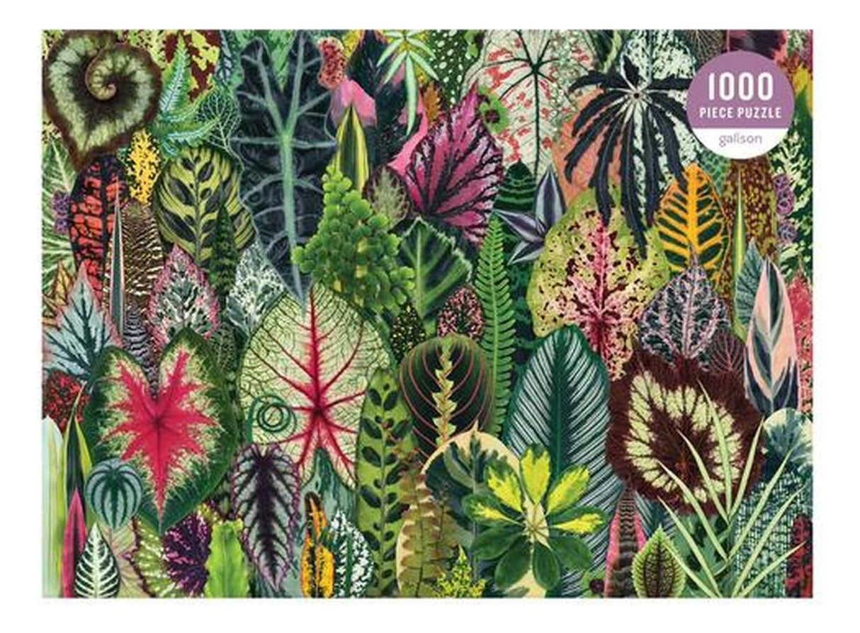 jpg_1500x1500_62003628