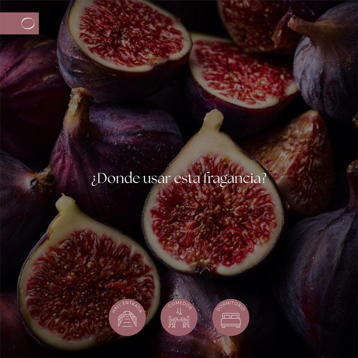 jpg_1500x1500_68329648