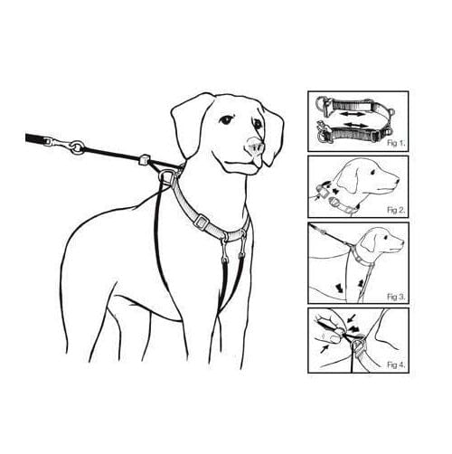 Arnés Anti-pull Xl Paseo Seguridad Mascotas Perro