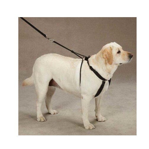 Arnés Anti-pull Xl Paseo Seguridad Mascotas Perro