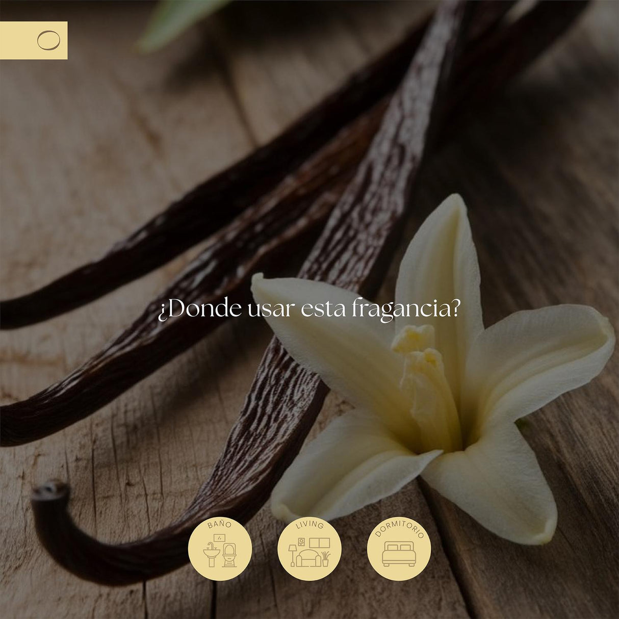 jpg_1500x1500_68329610