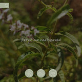 jpg_1500x1500_68329527