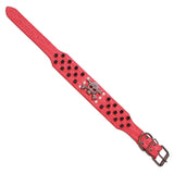 Collar Perro Calavera Puntas Redondas Xl Fucsia Mascan