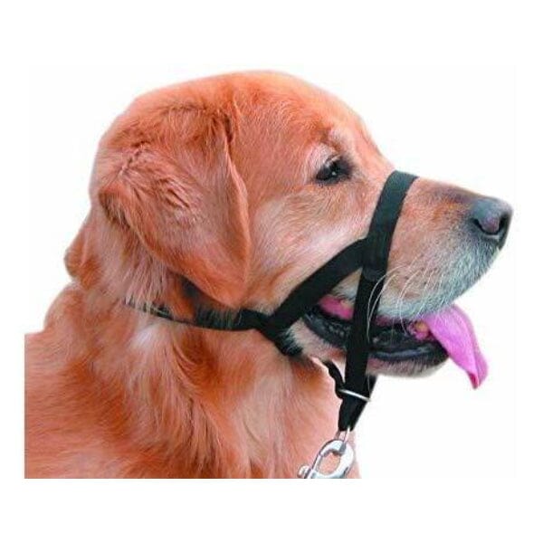 Collar Nylon Anti-pull Negro Perro Talla Xs Mascan