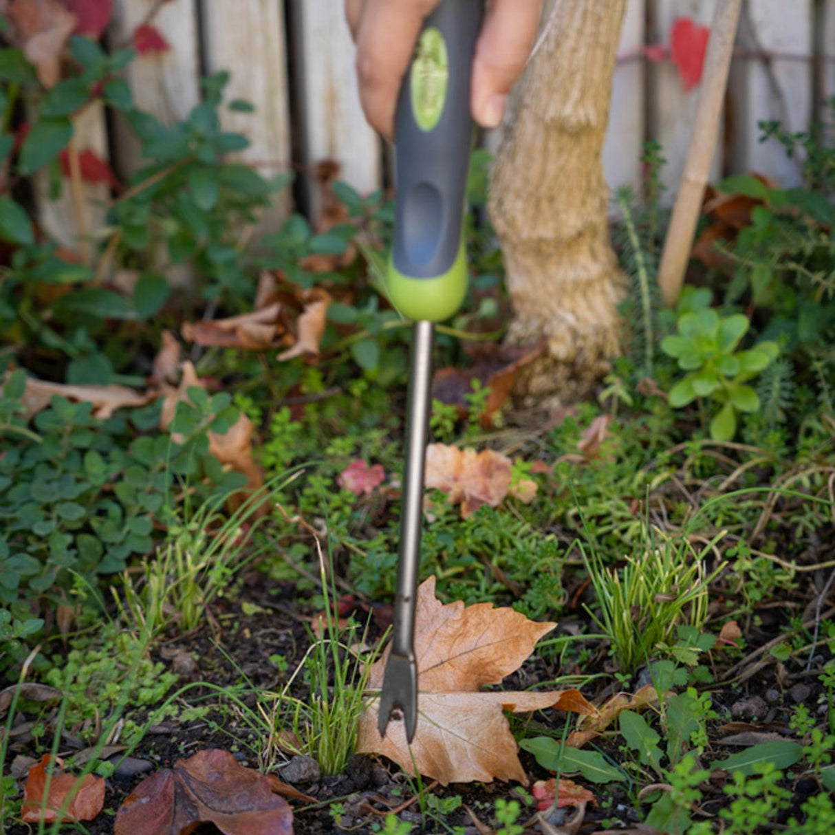 jpg_1500x1500_65972542