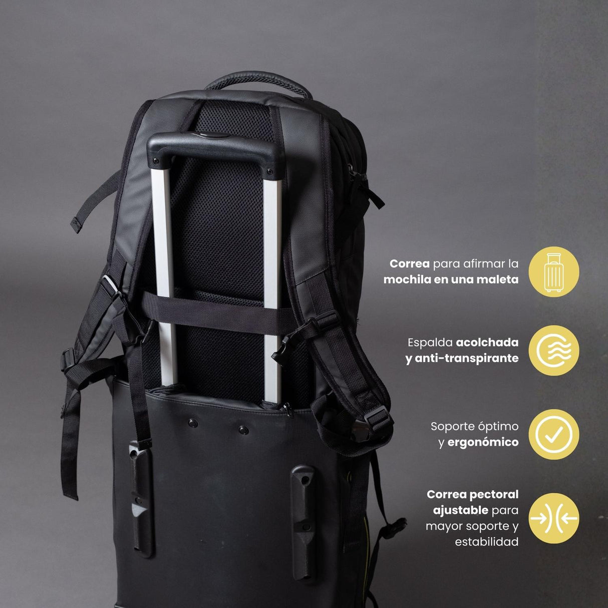 jpg_1500x1500_67445656