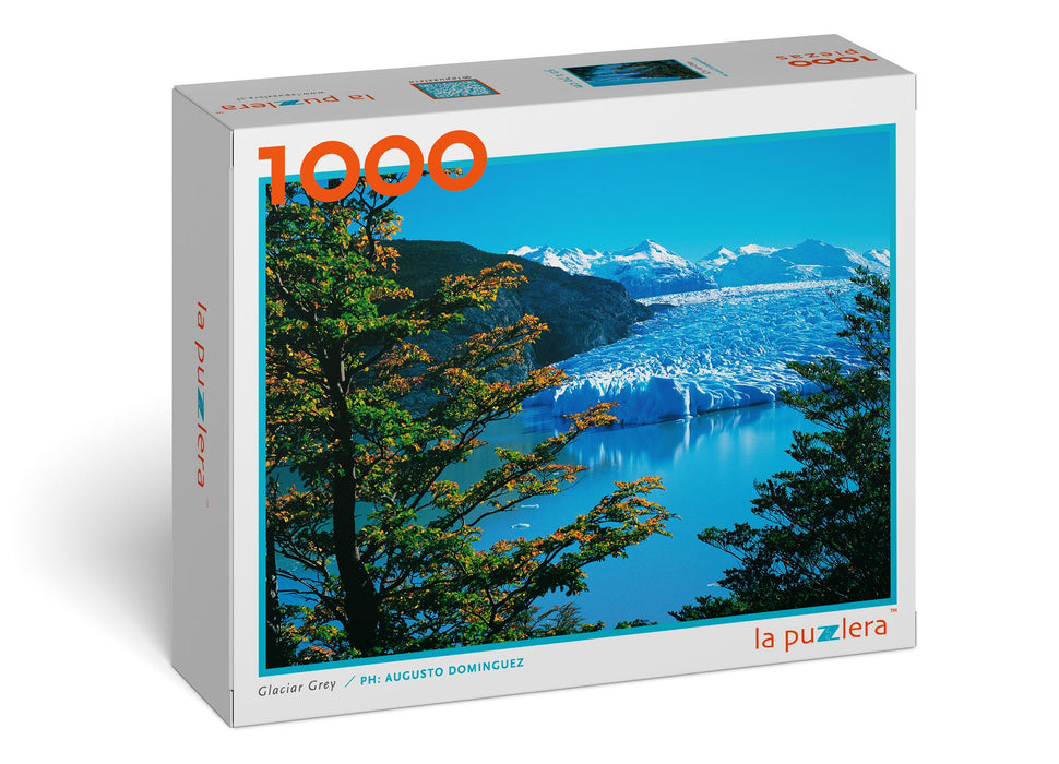 Puzzle Glaciar Grey 1000 Piezas