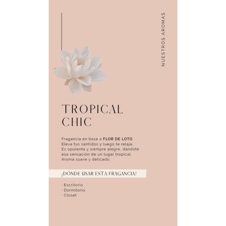 Difusor Negro 150 Ml + Refill 500 Ml Tropical Chic Madison